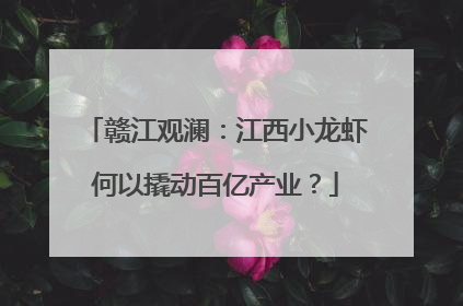 赣江观澜：江西小龙虾何以撬动百亿产业？